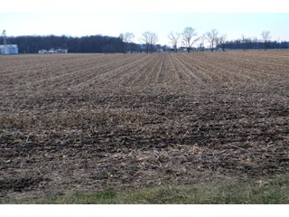 Property photo 16 - LAND AUCTION - 19.55+/- ACRES IN 1 TRACT IN ALLEN COUNTY, INDIANA